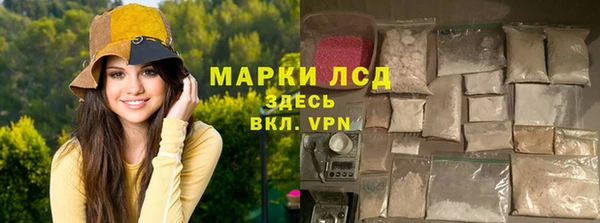 индика Семилуки