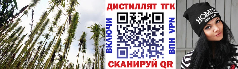 Дистиллят ТГК Wax  что такое наркотик  Светлогорск 