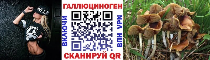 Галлюциногенные грибы MAGIC MUSHROOMS  Светлогорск 