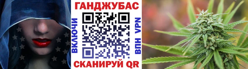 магазин продажи наркотиков  Светлогорск  Канабис планчик 